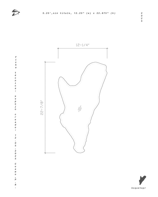 S.25’,sin título [ready-made hoyo/boquete]