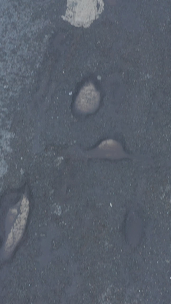 Cargar video: 